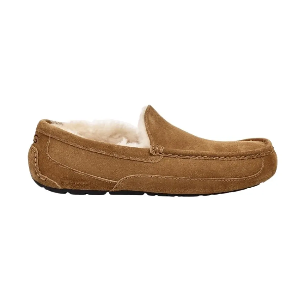 Hjemmesko^UGG Ascot Slipper Brun