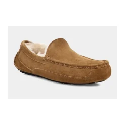 Hjemmesko^UGG Ascot Slipper Brun
