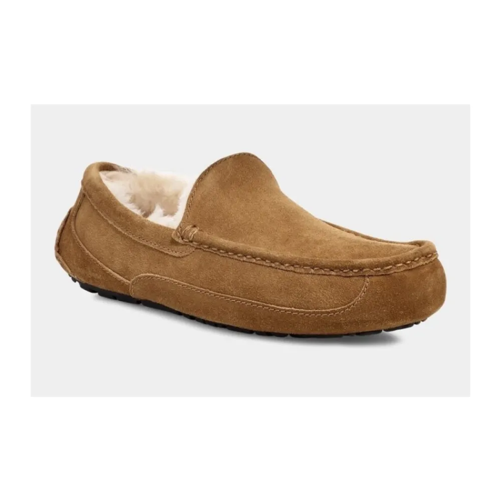 Hjemmesko^UGG Ascot Slipper Brun