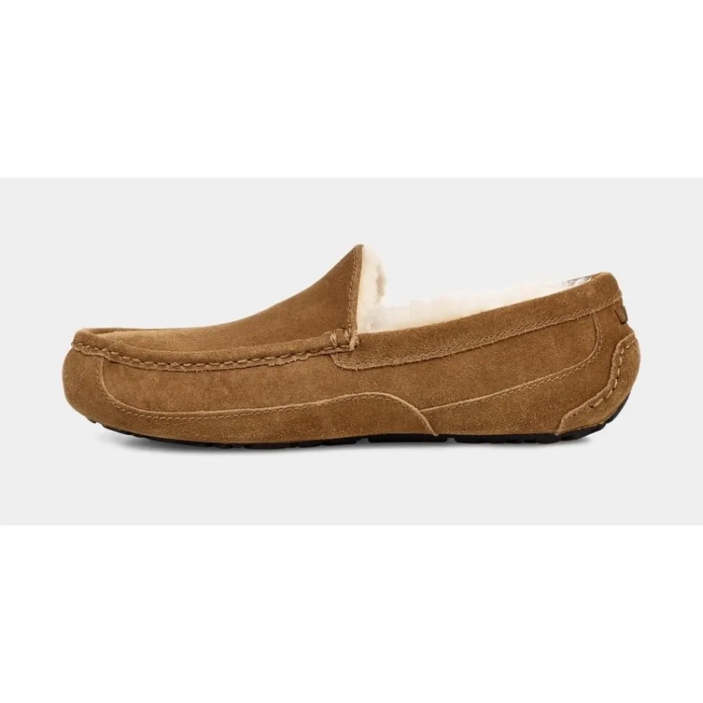 Hjemmesko^UGG Ascot Slipper Brun