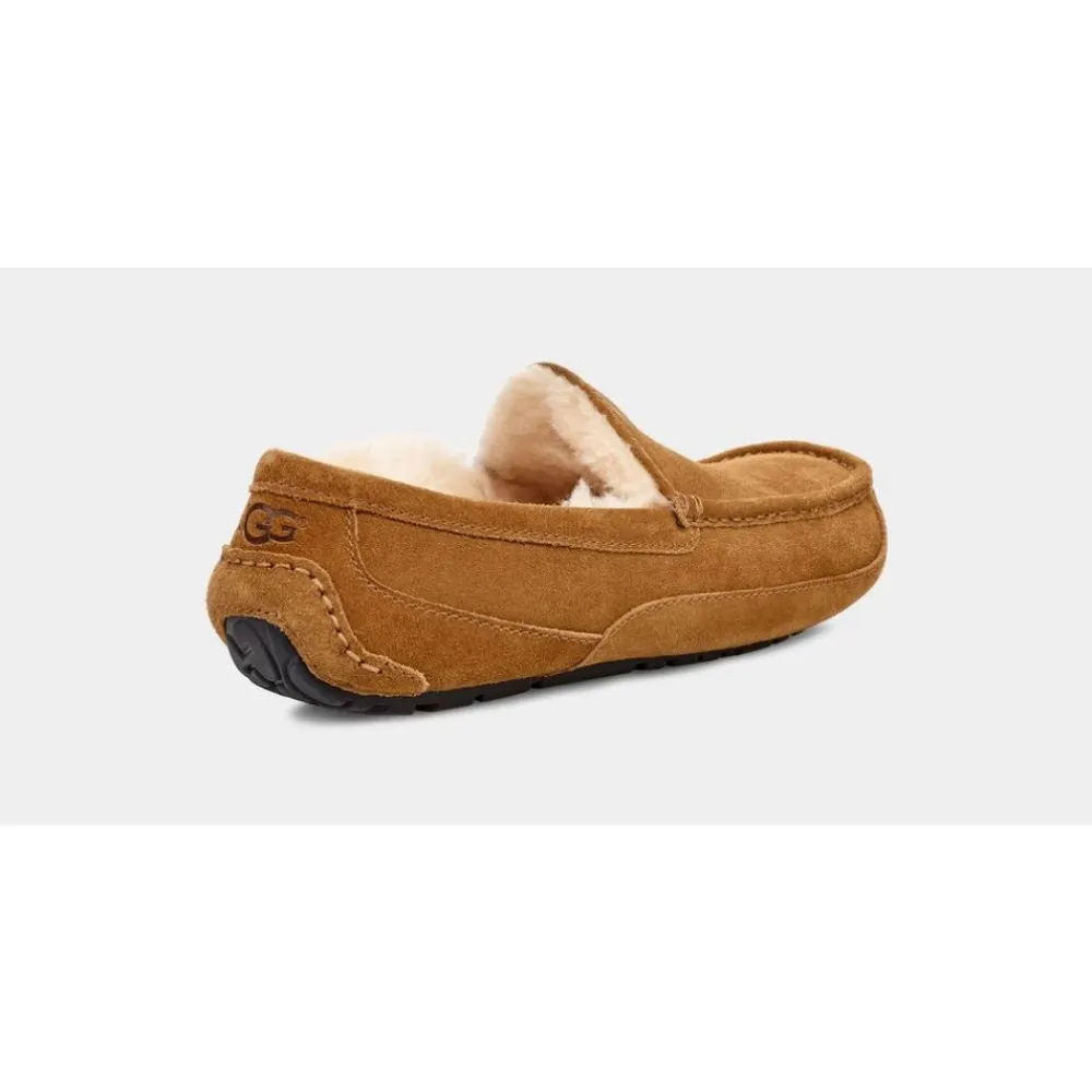 Hjemmesko^UGG Ascot Slipper Brun