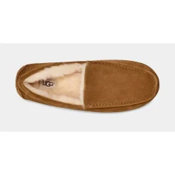 Hjemmesko^UGG Ascot Slipper Brun