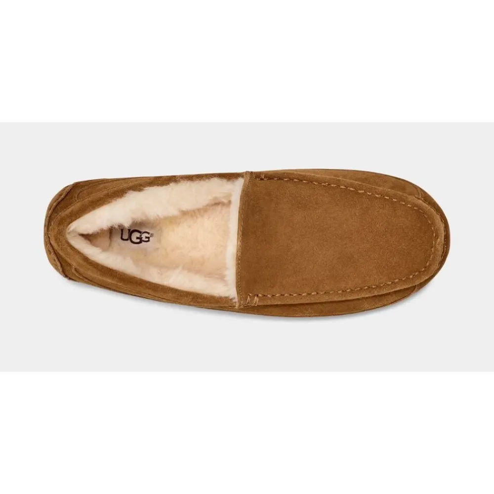 Hjemmesko^UGG Ascot Slipper Brun