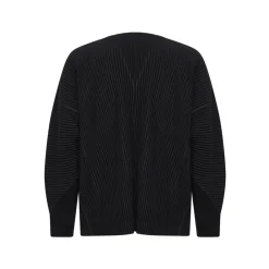 Strik^Issey Miyake Color Pleats 1 Sort