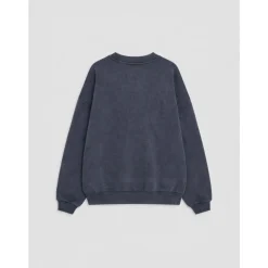 Sweatshirts<Anine Bing Harvey Crew Sweatshirt Snake Blå