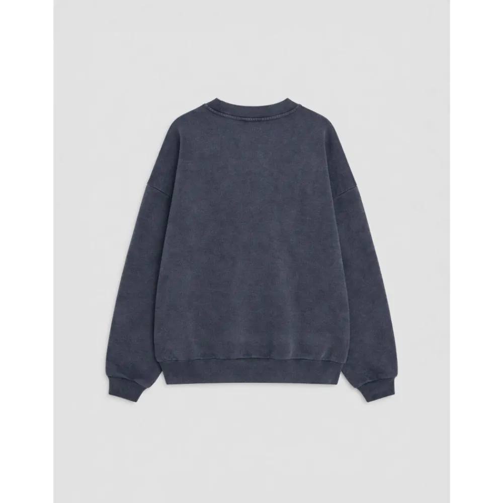 Sweatshirts<Anine Bing Harvey Crew Sweatshirt Snake Blå