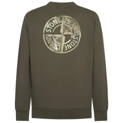 Sweatshirts^Stone Island Institutional Five Sweatshirt Grøn