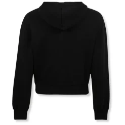 Trøjer<Jacquemus Le hoodie Gros Grain zippé Sort