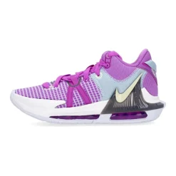 Træningssko^Nike Lebron Witness VII Basketball Sko Multifarvet