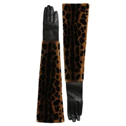 Handsker^Dolce & Gabbana Leopard Print Albuelængde Handsker Multifarvet
