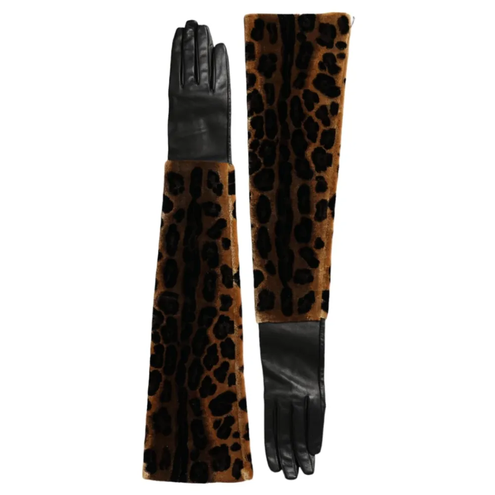 Handsker^Dolce & Gabbana Leopard Print Albuelængde Handsker Multifarvet