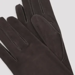 Handsker^Lanvin Long Slim Suede Gloves Brun