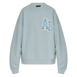 Sweatshirts<Anine Bing Miles Sweatshirt Blå