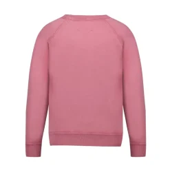 Sweatshirts<Isabel Marant Millyny Sweatshirt Pink