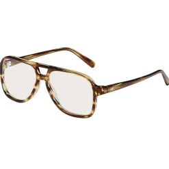 Briller<Moscot Sheister Solbriller Brun