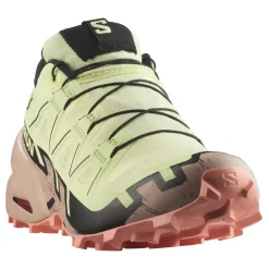 Sko^Salomon Speedcross 6 GTX Løbesko Multifarvet